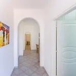 Pilon 26 - Gioia *